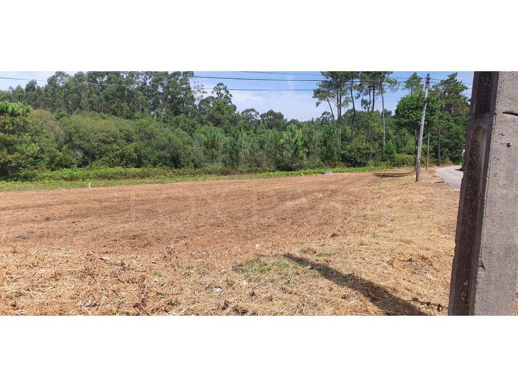 Terreno para construção em gandra, Valença - Grande imagem: 5/6