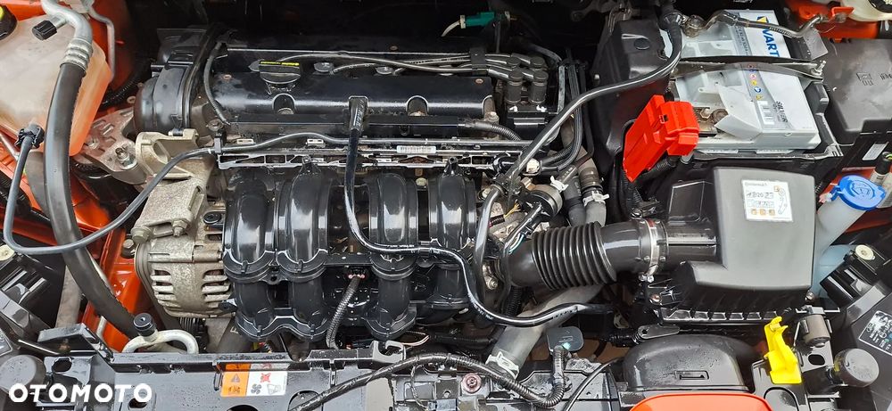 Ford B-MAX 1.4 Colourline - 17