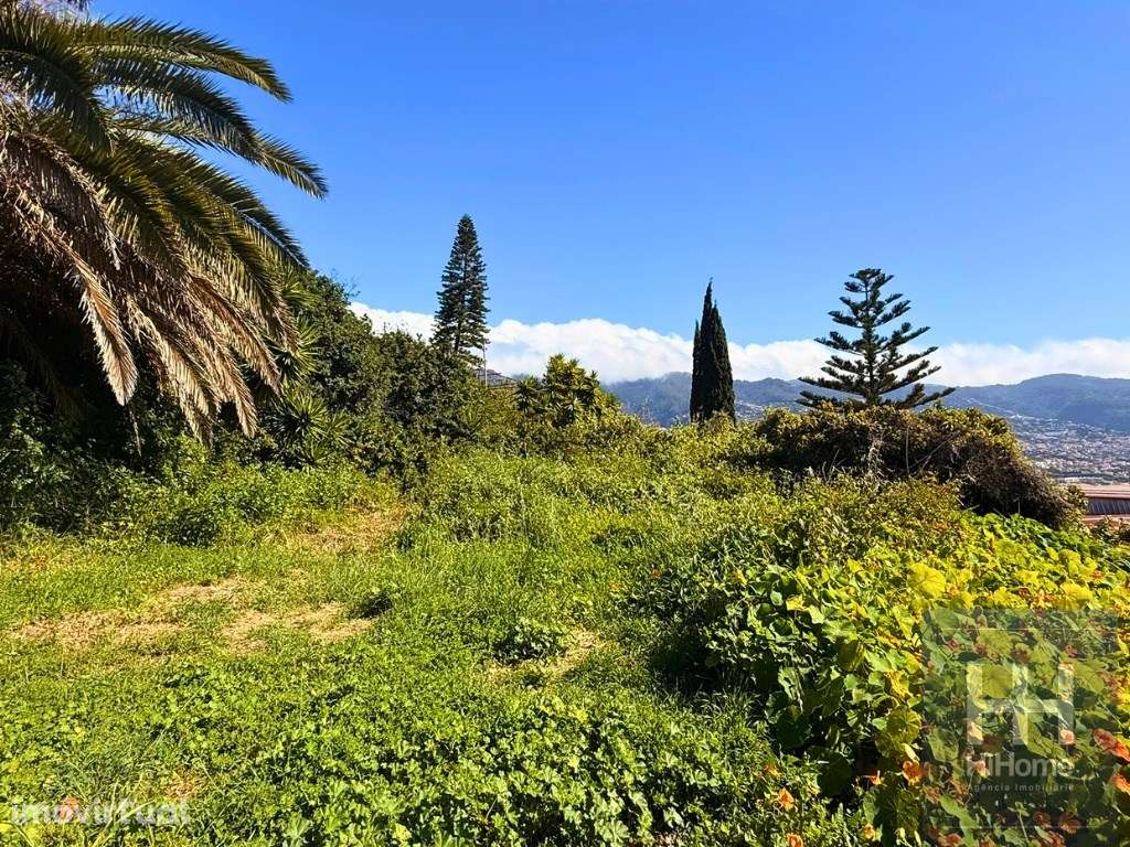 Terreno com 1.607 m2 para construção no Funchal - Grande imagem: 3/14