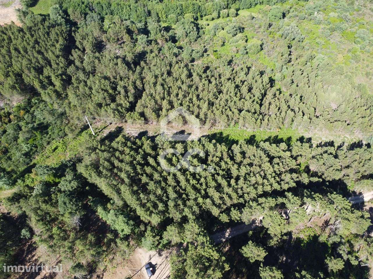 Terreno para investimento com pinheiro em Redondelo - Grande imagem: 3/18