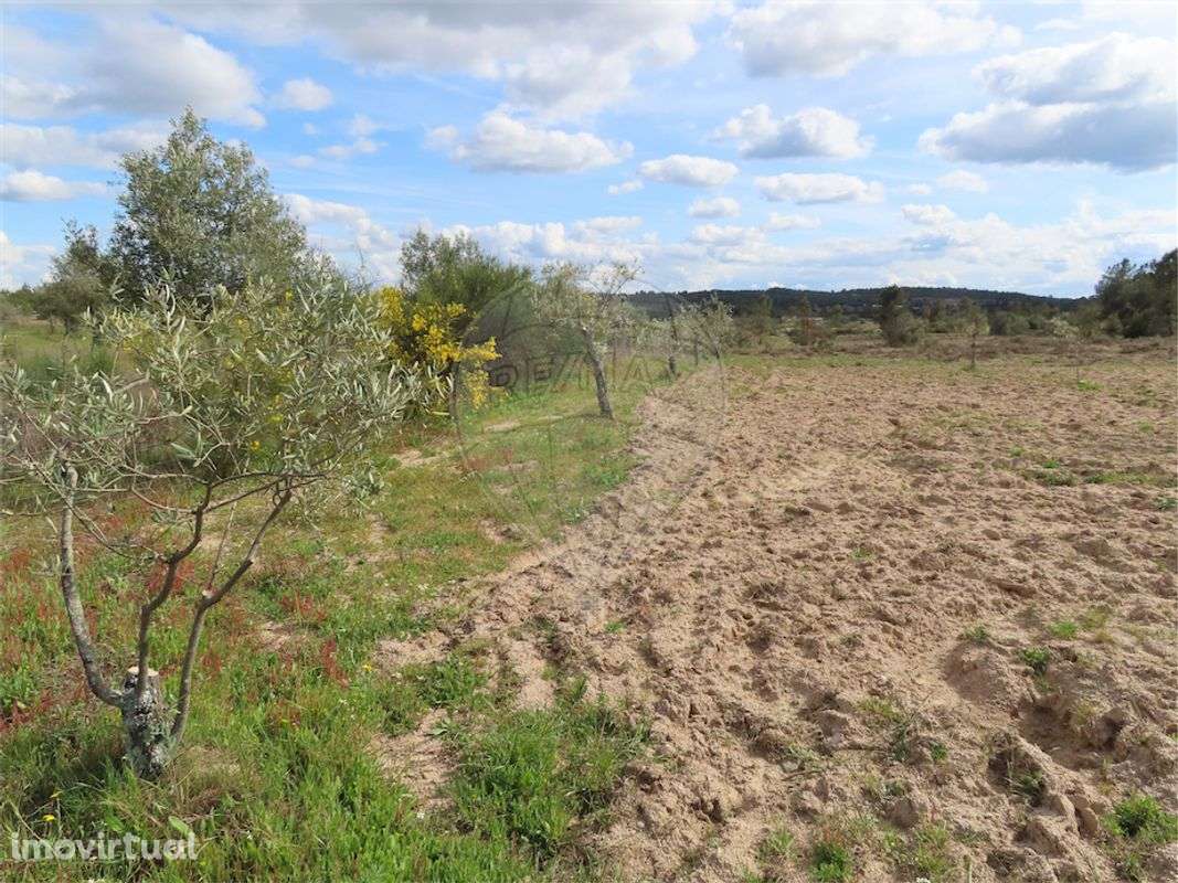 Quinta  para venda - Grande imagem: 3/19