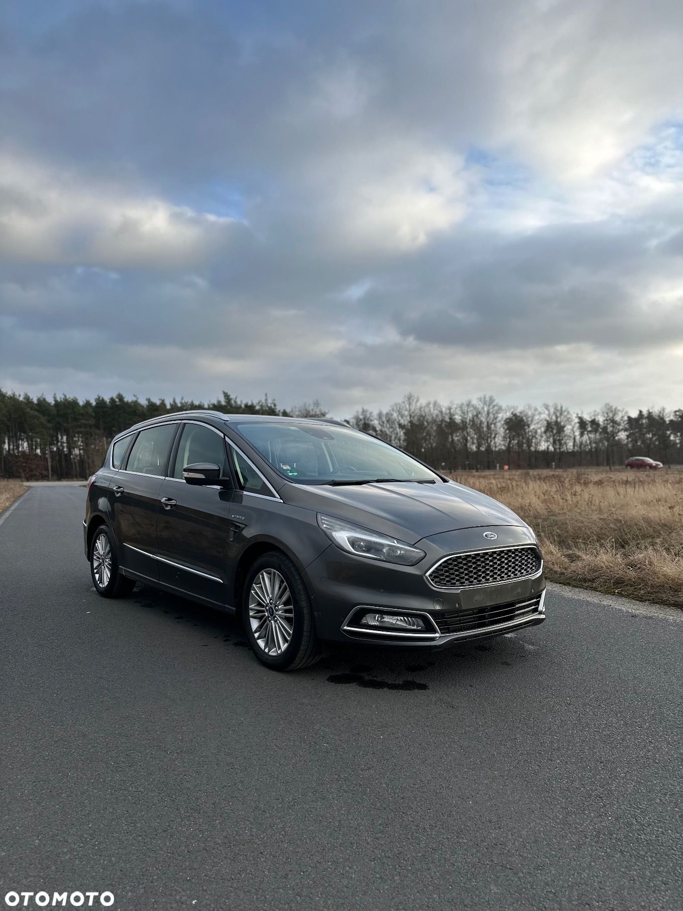 Ford S-Max 2.0 EcoBlue Vignale - 1