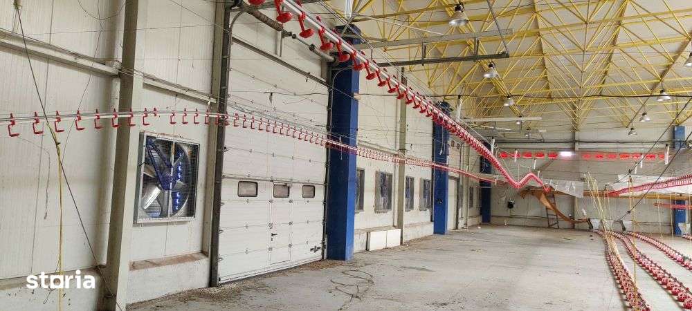 Călărași - Hală multifuncțională cu teren 30.000 mp - Imagine principală: 3/8