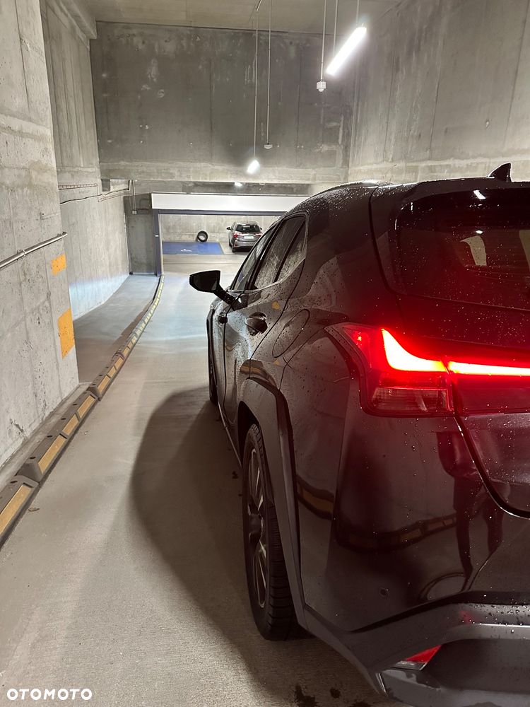 Lexus UX 200 Prestige 2WD - 6