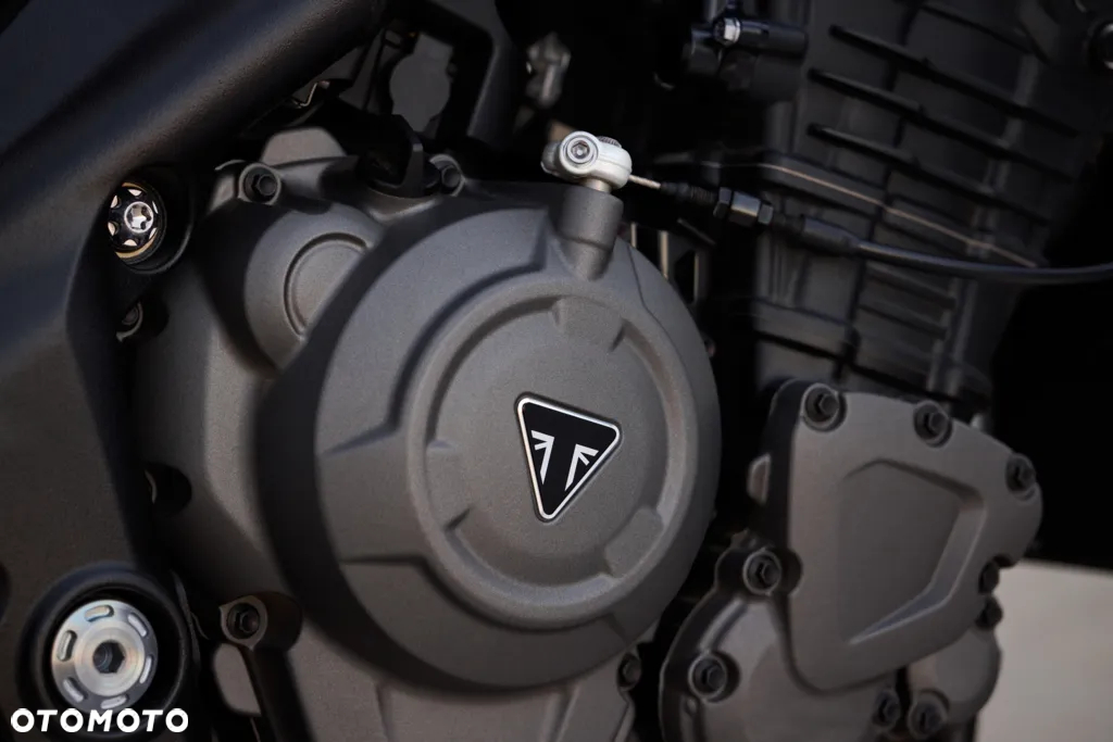 Triumph Speed Triple - 14