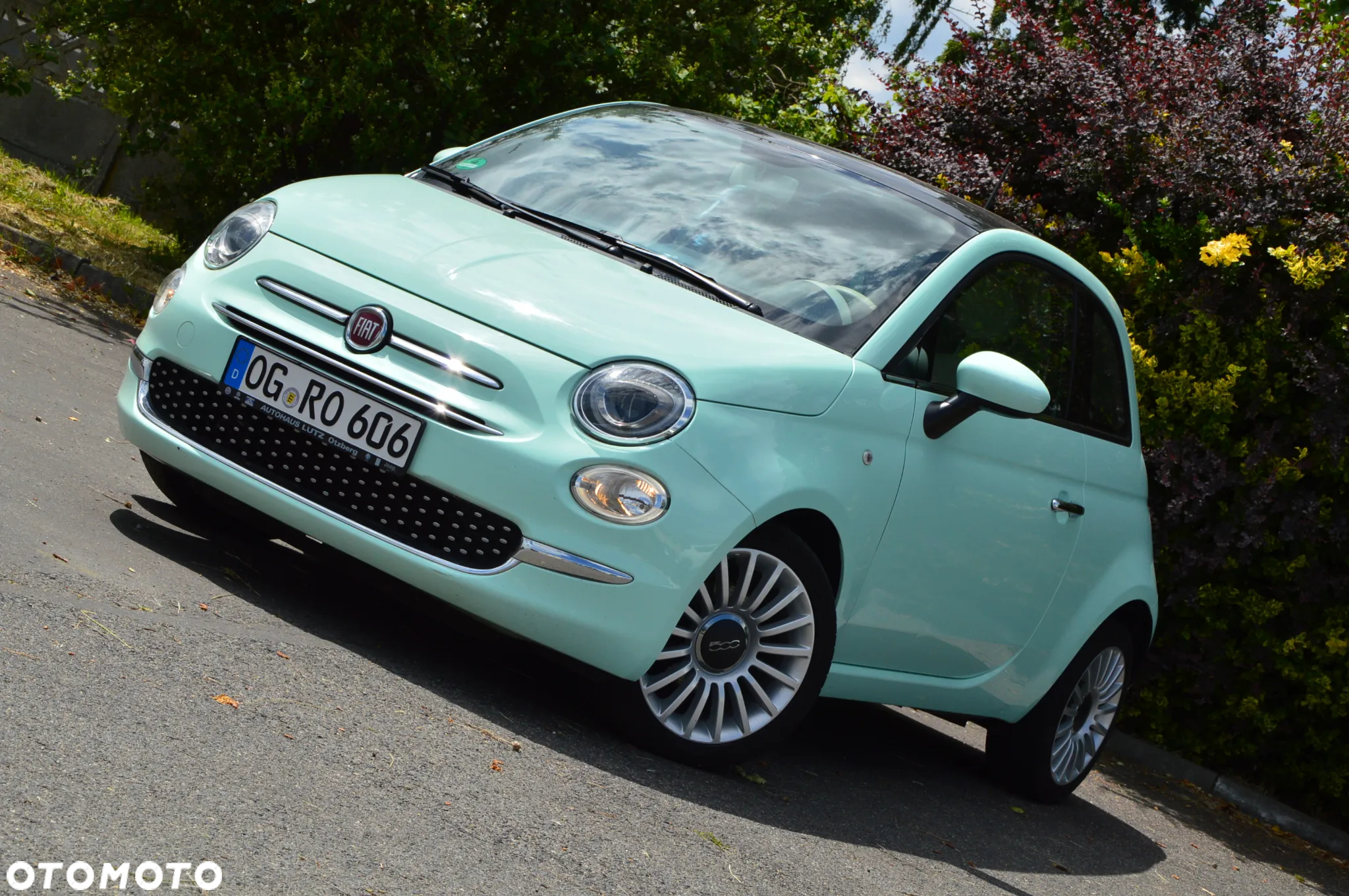 Fiat 500 - 25