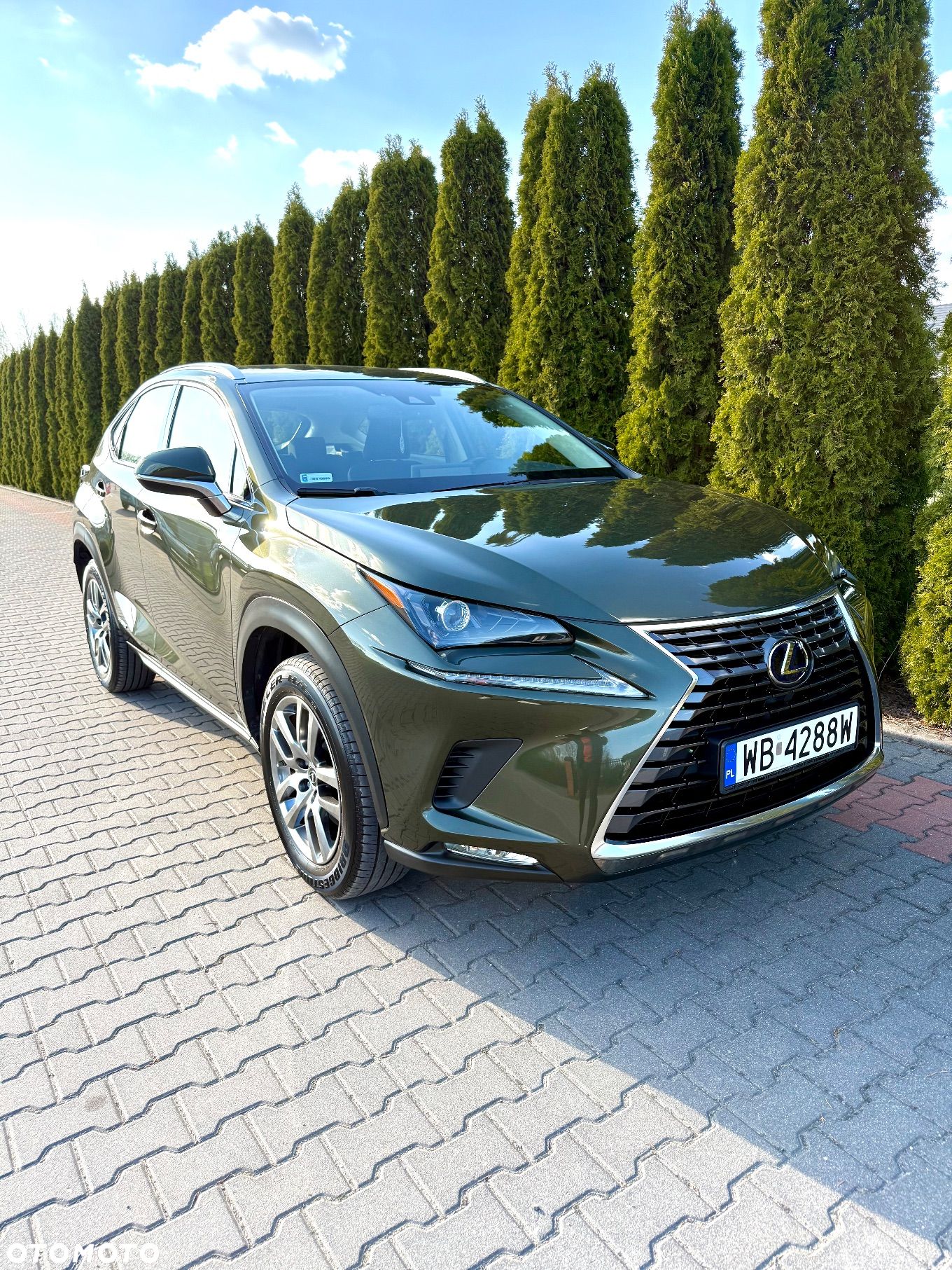 Lexus NX - 1