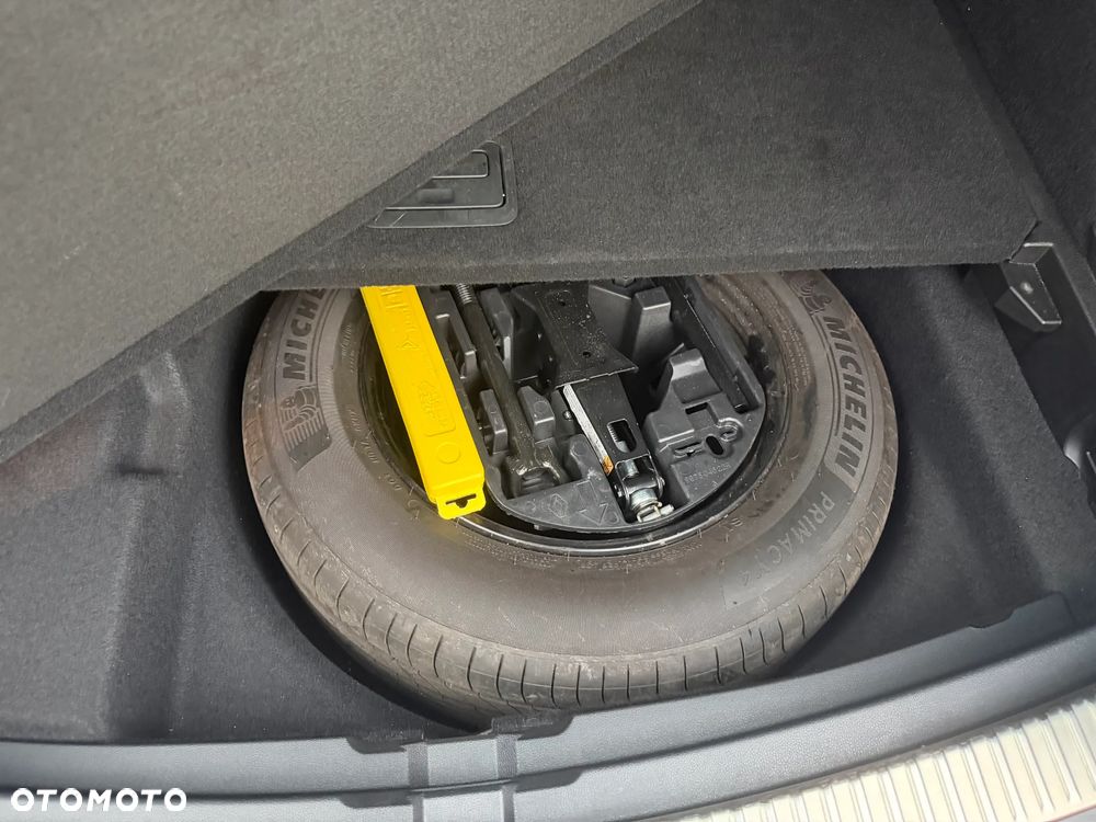 Renault Megane - 31