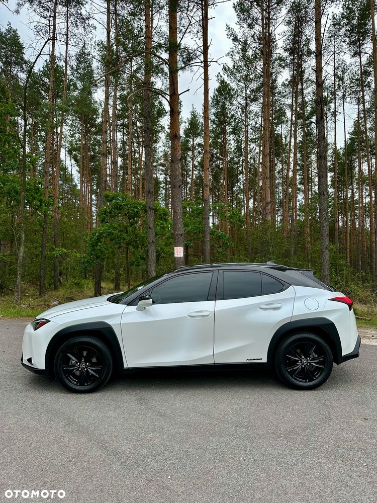 Lexus UX 250h Prestige 2WD - 13