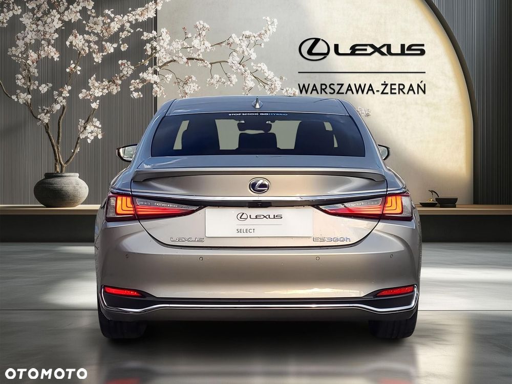 Lexus ES 300h Business Edition - 6