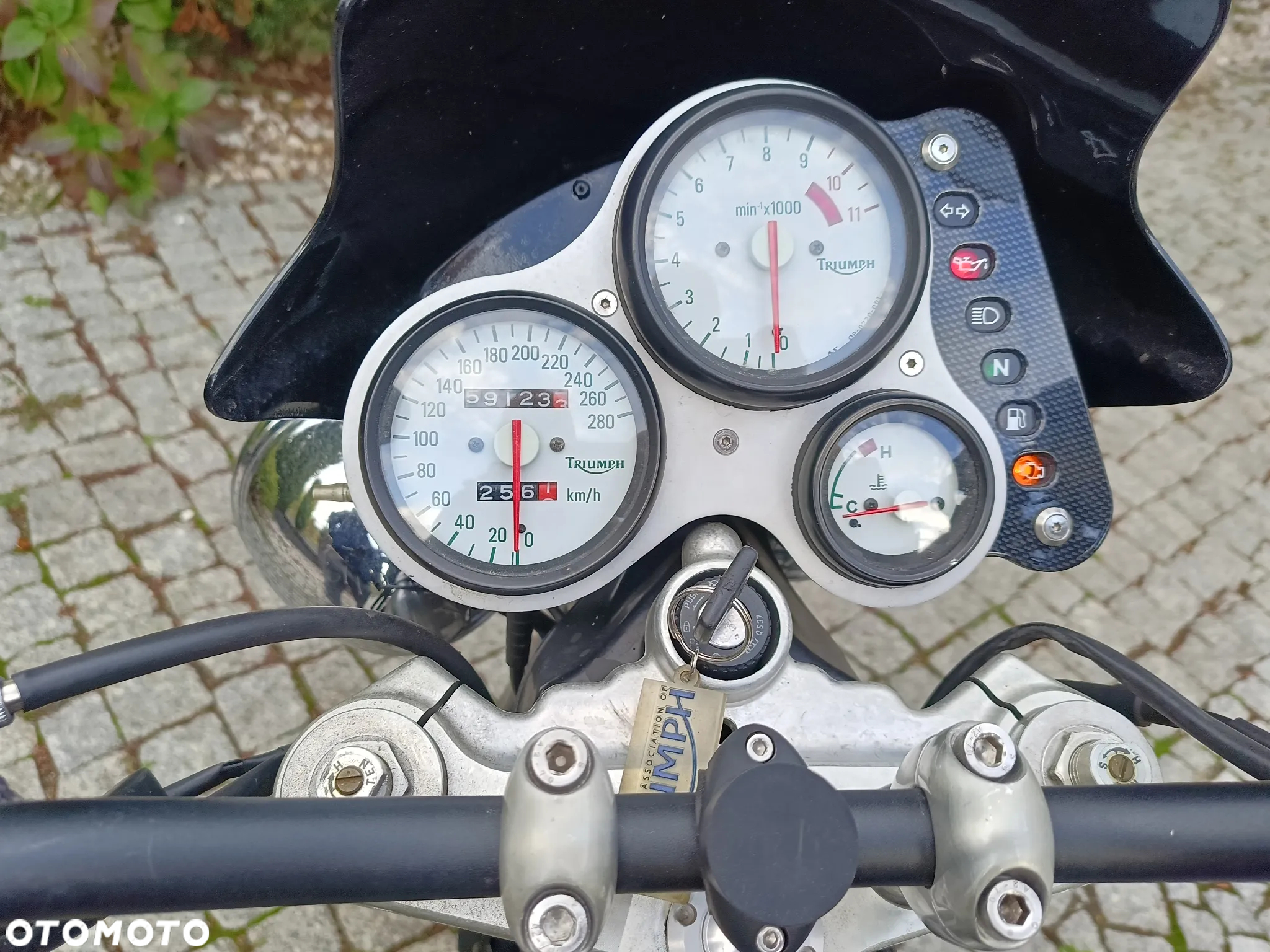 Triumph Speed Triple - 6