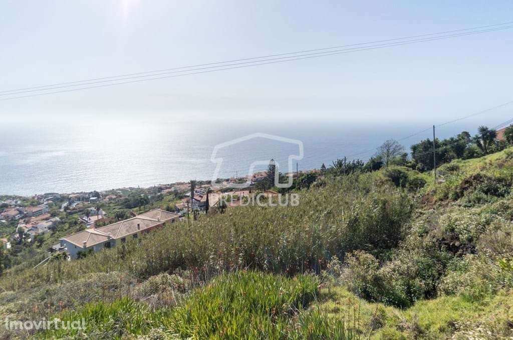 Terreno Gaula - Grande imagem: 4/6