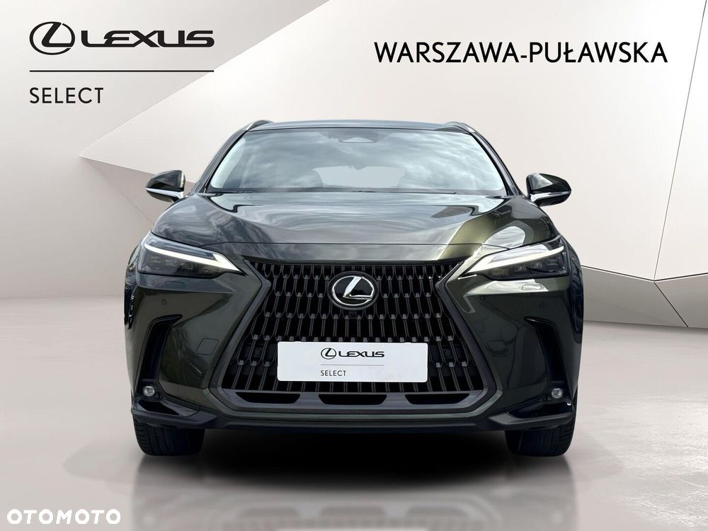 Lexus NX - 8