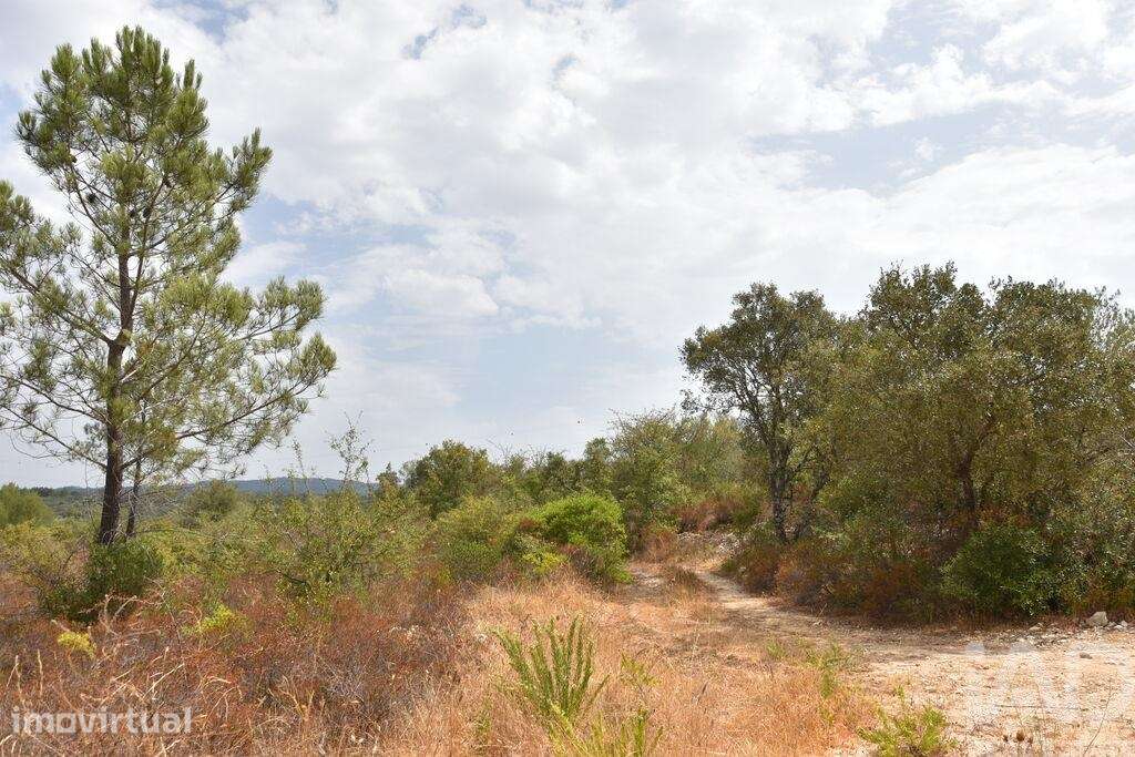 Terreno em Areias e Pias de 1600,00 m2 - Grande imagem: 3/30