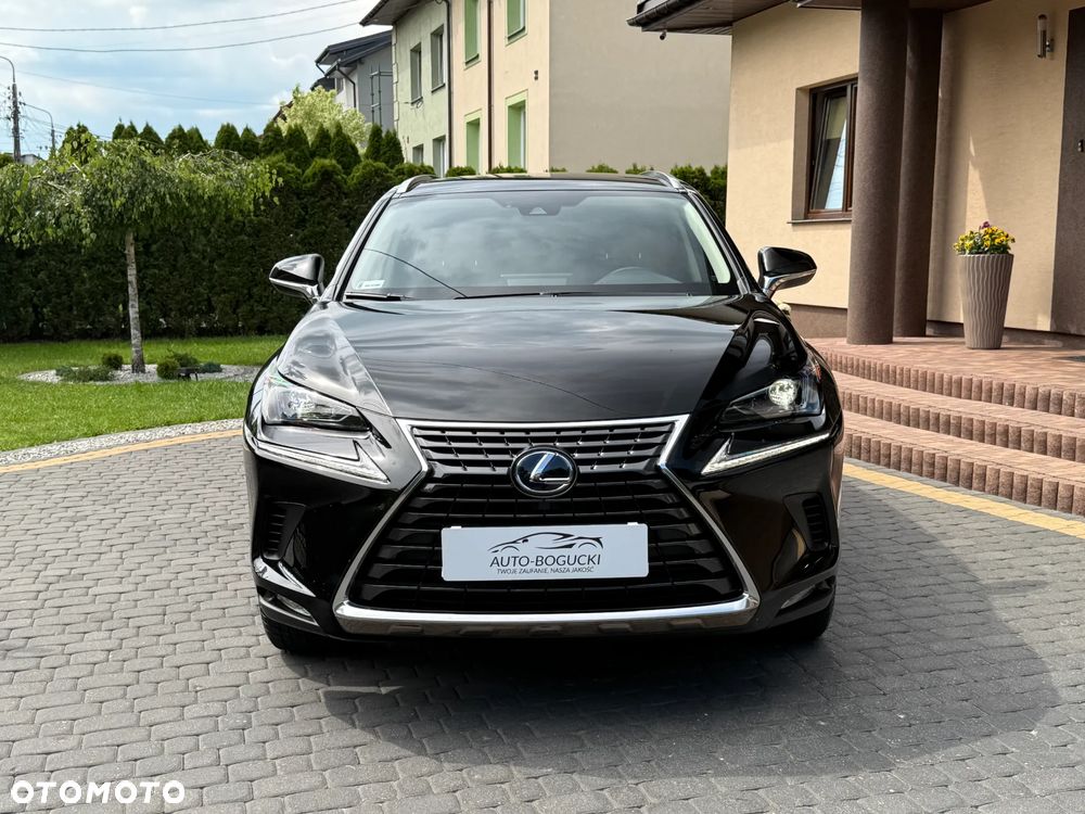Lexus NX 300h Business Edition AWD - 5
