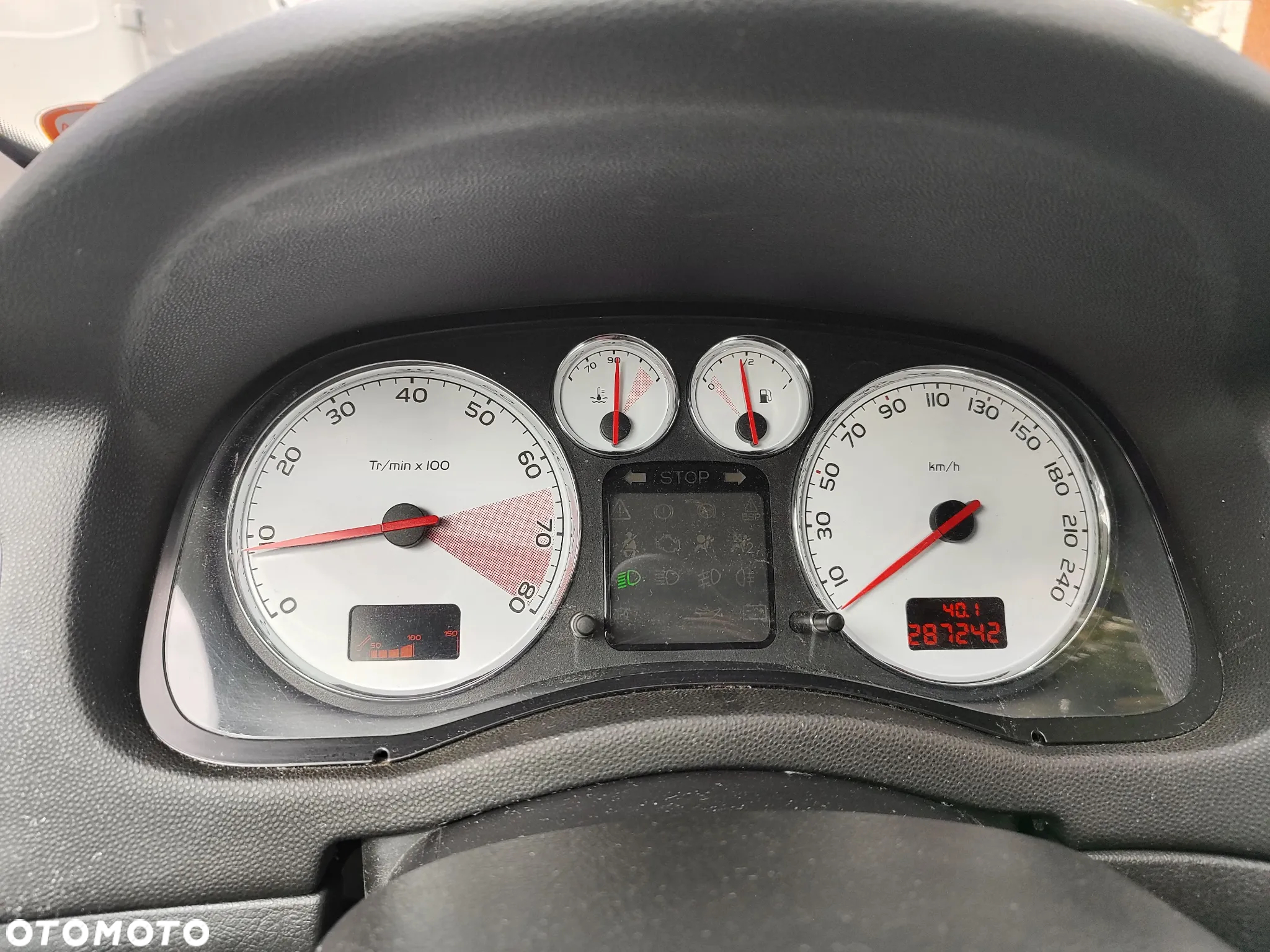 Peugeot 307 2.0 Premium - 8
