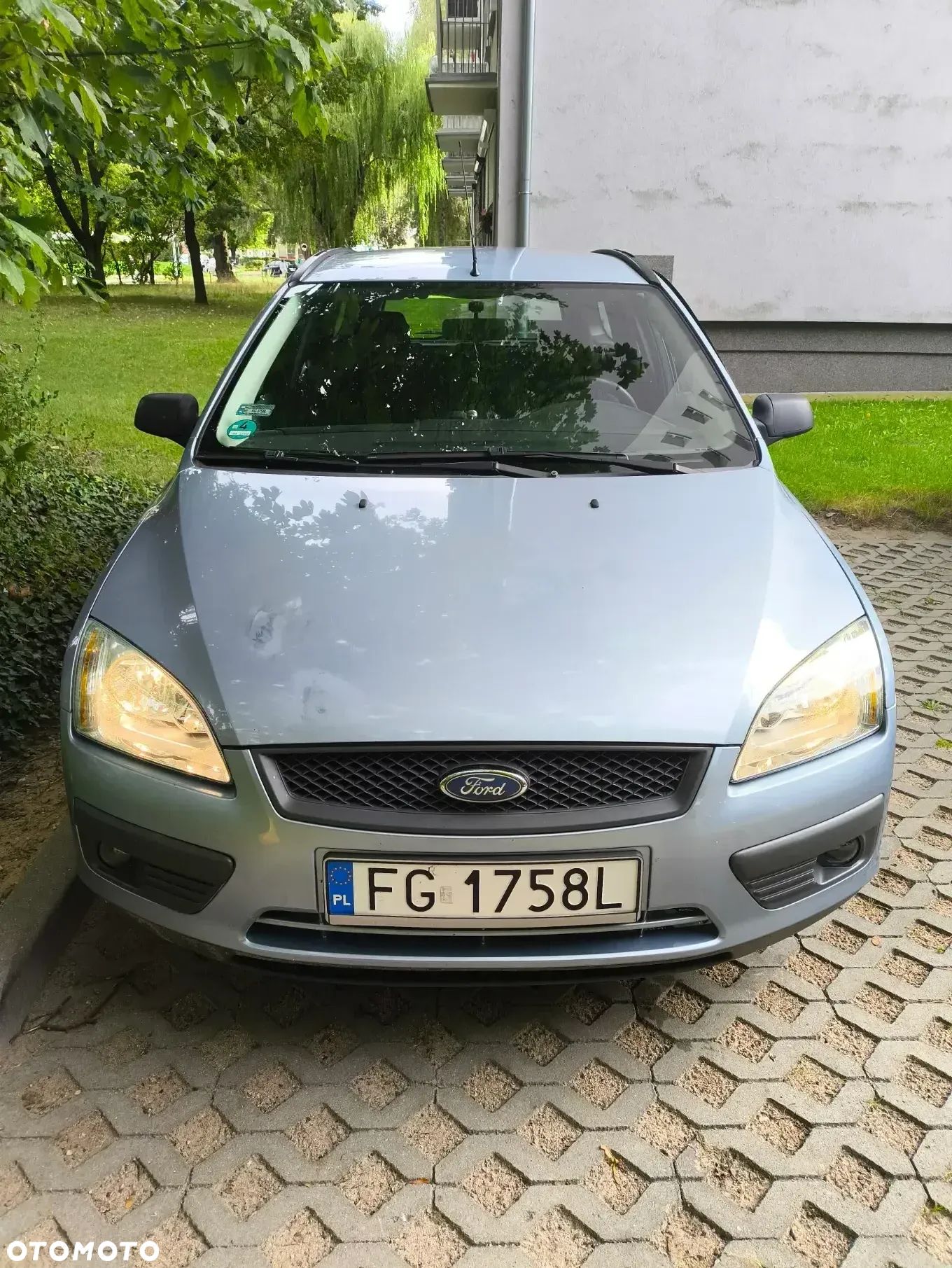 Ford Focus - 1