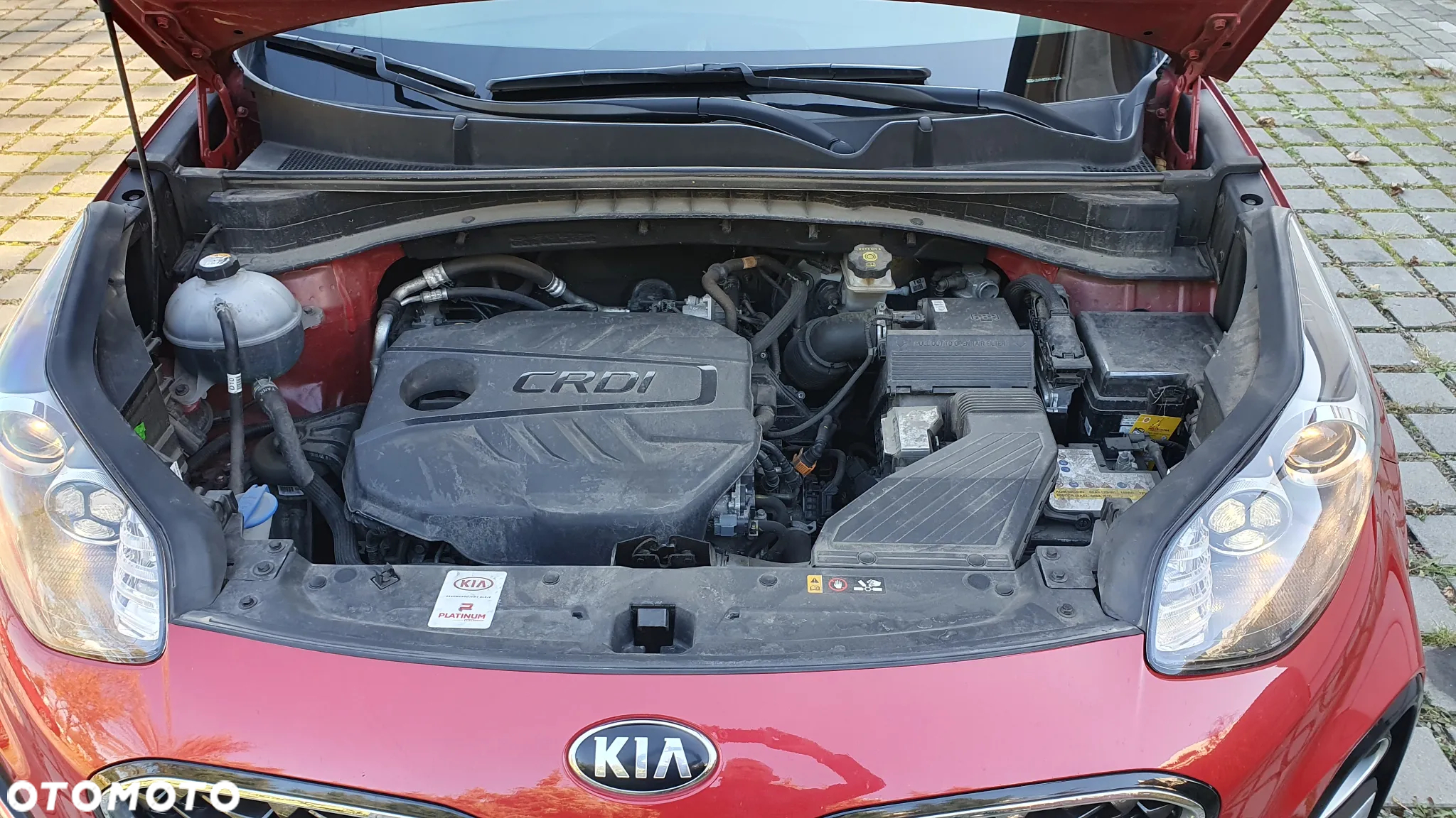 Kia Sportage 1.6 CRDI L 2WD DCT - 23