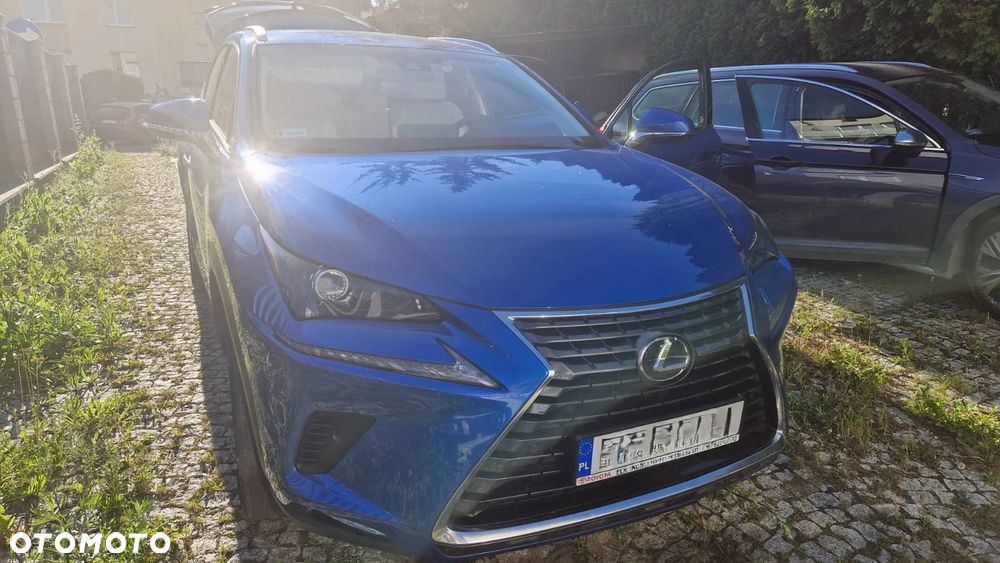 Lexus NX 300 Comfort AWD - 2