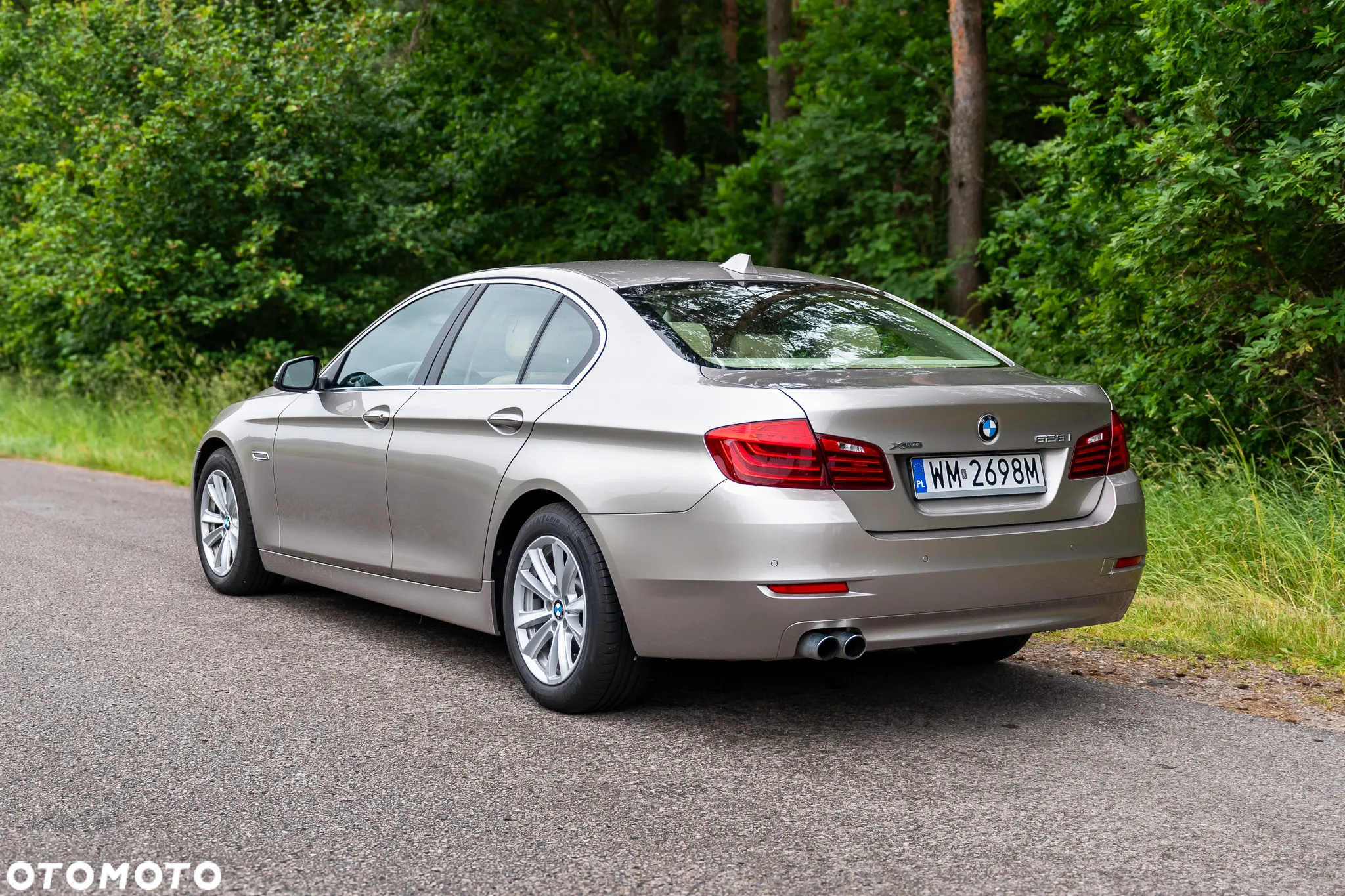 BMW Seria 5 528i Luxury Line - 2