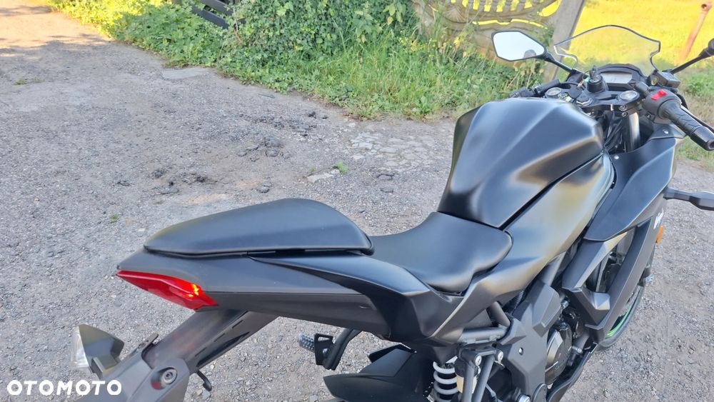 Kawasaki Ninja - 11