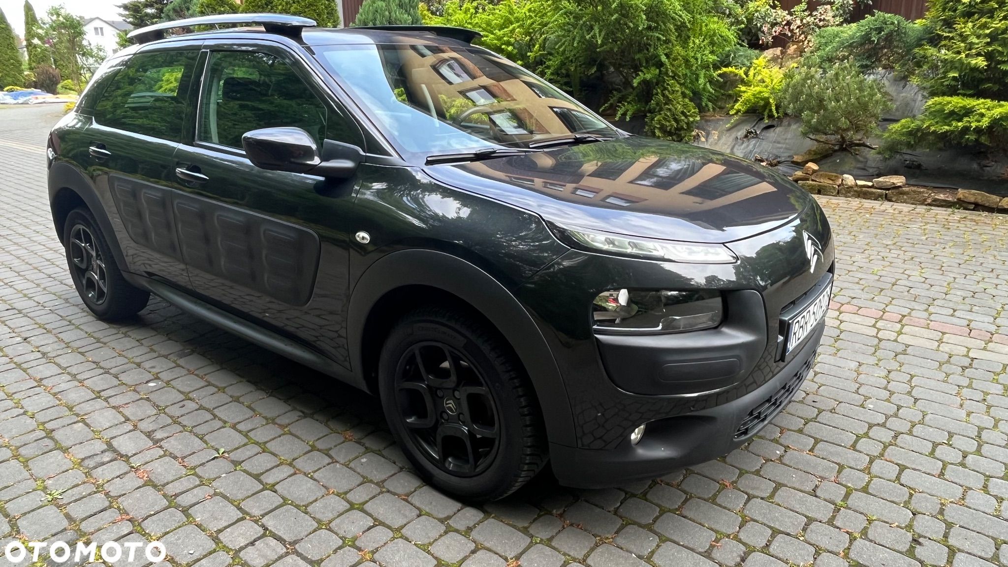 Citroën C4 Cactus 1.6 BlueHDi Shine - 1