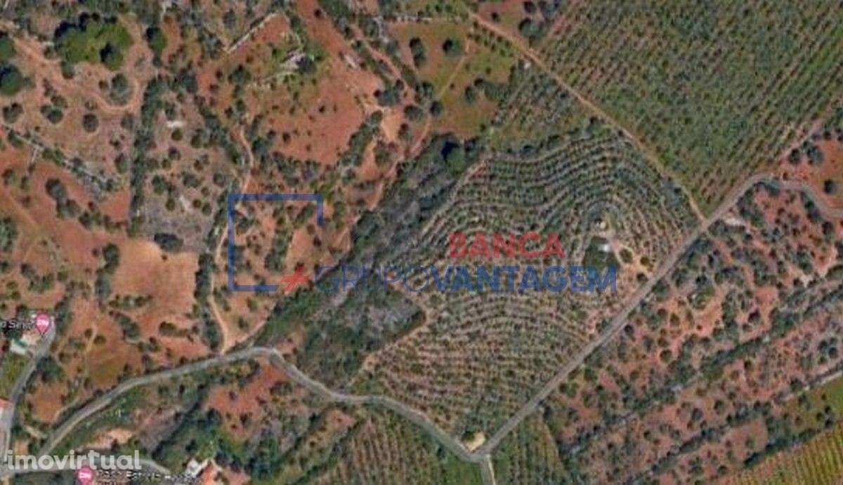 Terrenos mistos, 21 880m2, localizados no Sítio das Fontainhas, Con... - Grande imagem: 4/7