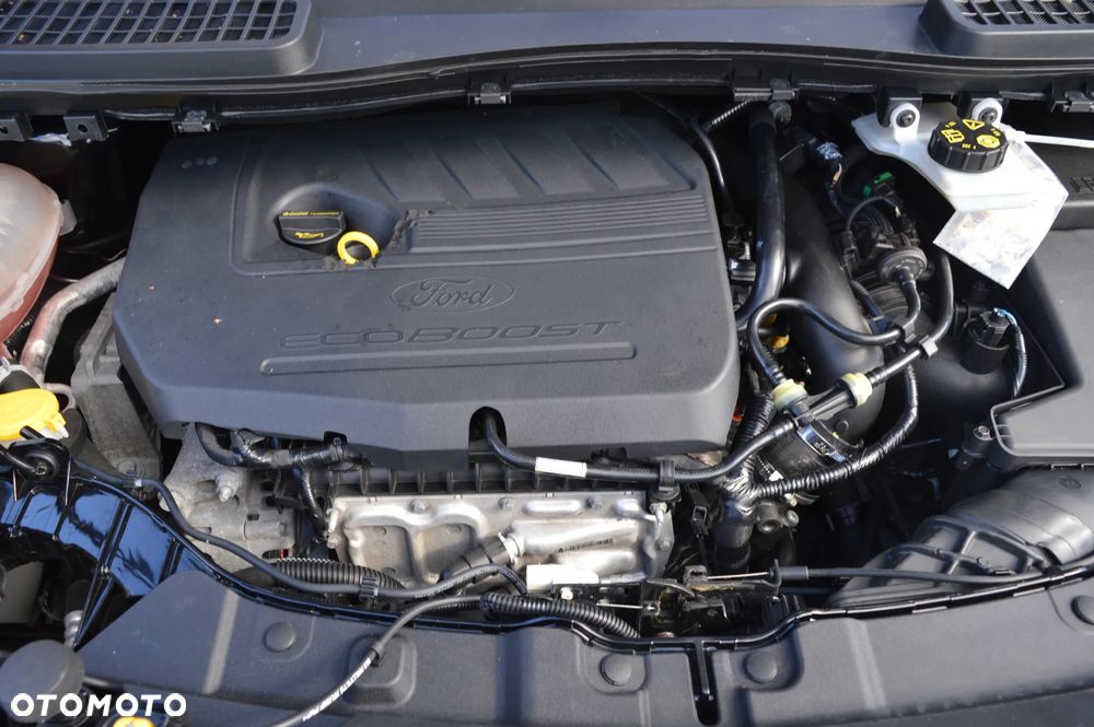 Ford Kuga 1.5 EcoBoost FWD Titanium ASS GPF - 24