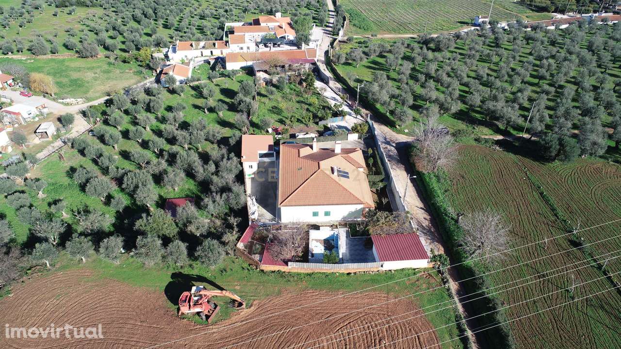 Moradia Térrea T4+1 - Grande imagem: 5/60