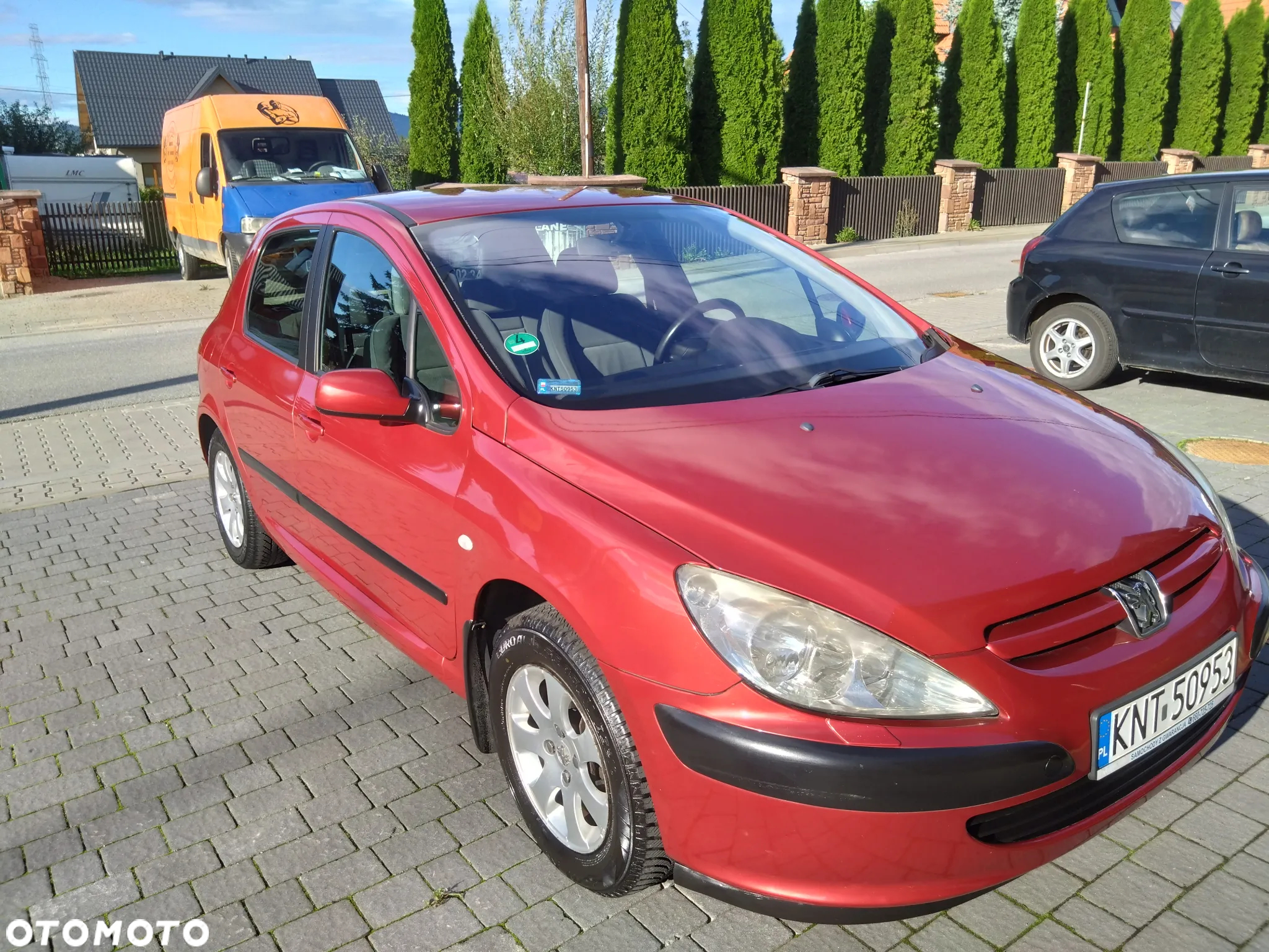 Peugeot 307 - 6