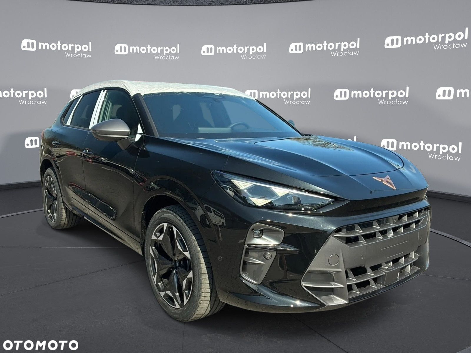Cupra Terramar - 12