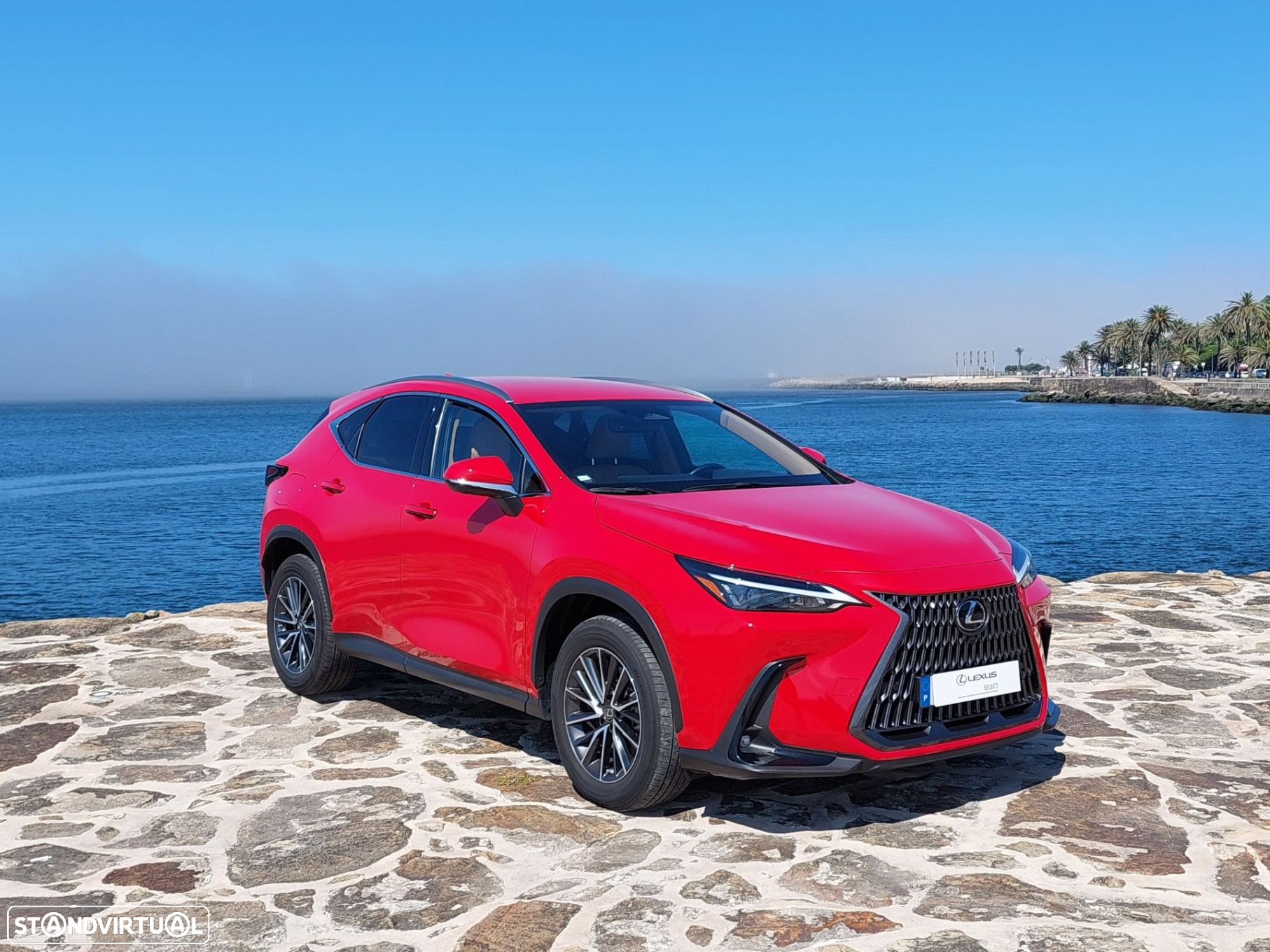 Lexus NX 450h+ - 8