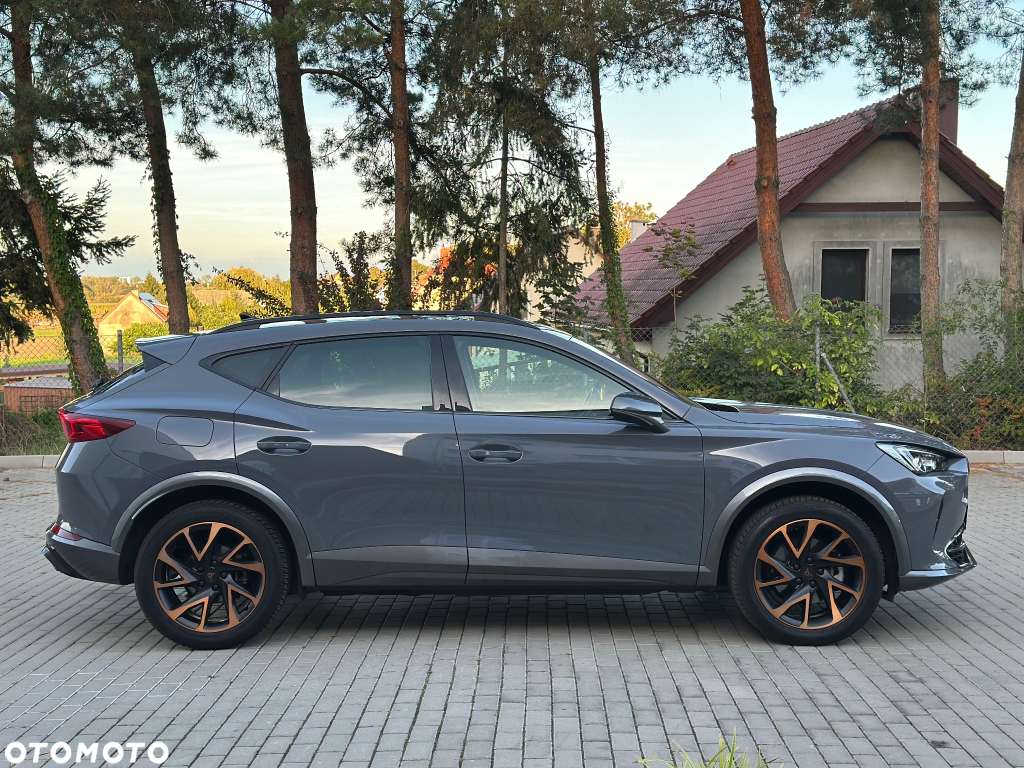 Cupra Formentor 1.4 e-Hybrid DSG Priority - 14