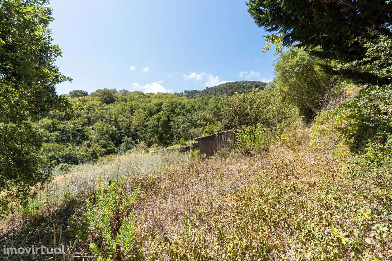 Quinta da Fonte Velha | Um segredo bem guardado, em pleno Parque Natur - Grande imagem: 3/39