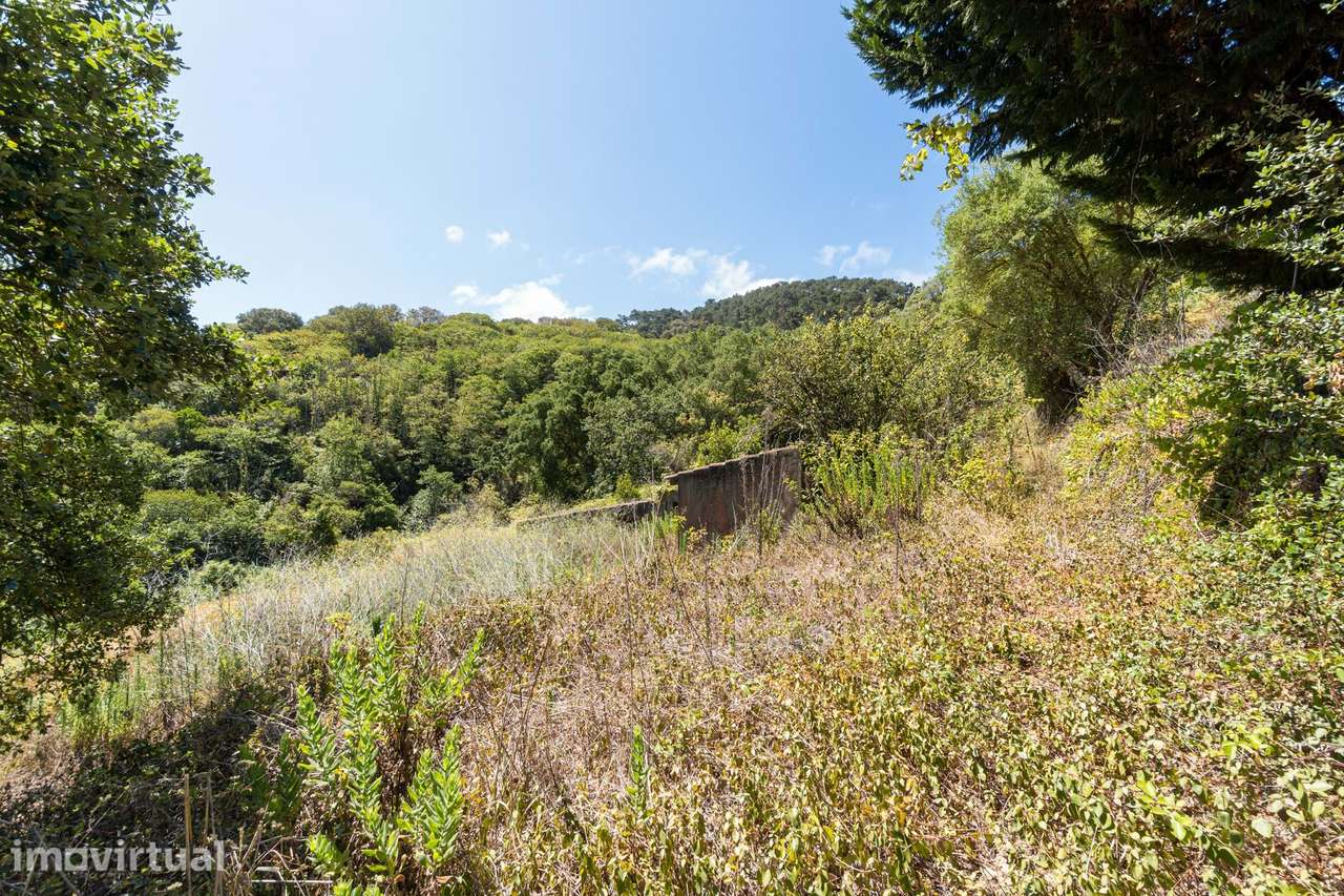 Quinta da Fonte Velha | Um segredo bem guardado, em pleno Parque Natur - Grande imagem: 4/40