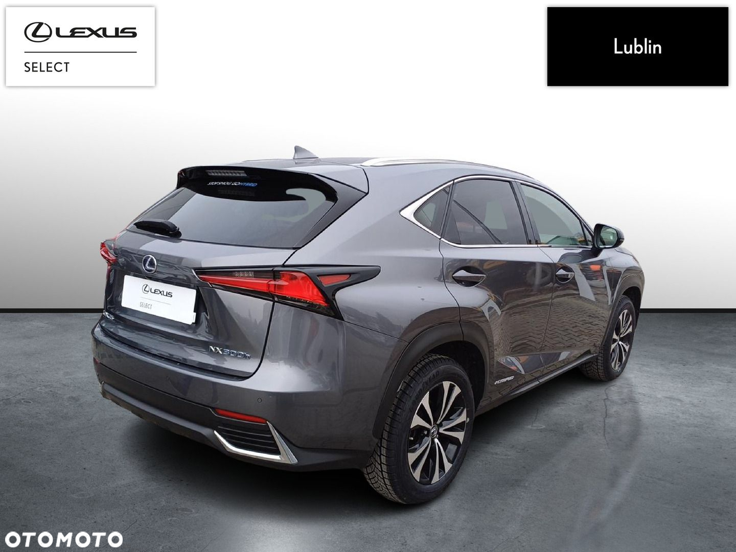 Lexus NX - 5