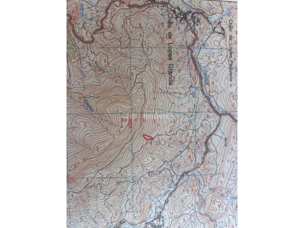 Terreno com Pinhal na Fonte Ferrada, Mação - Grande imagem: 2/2