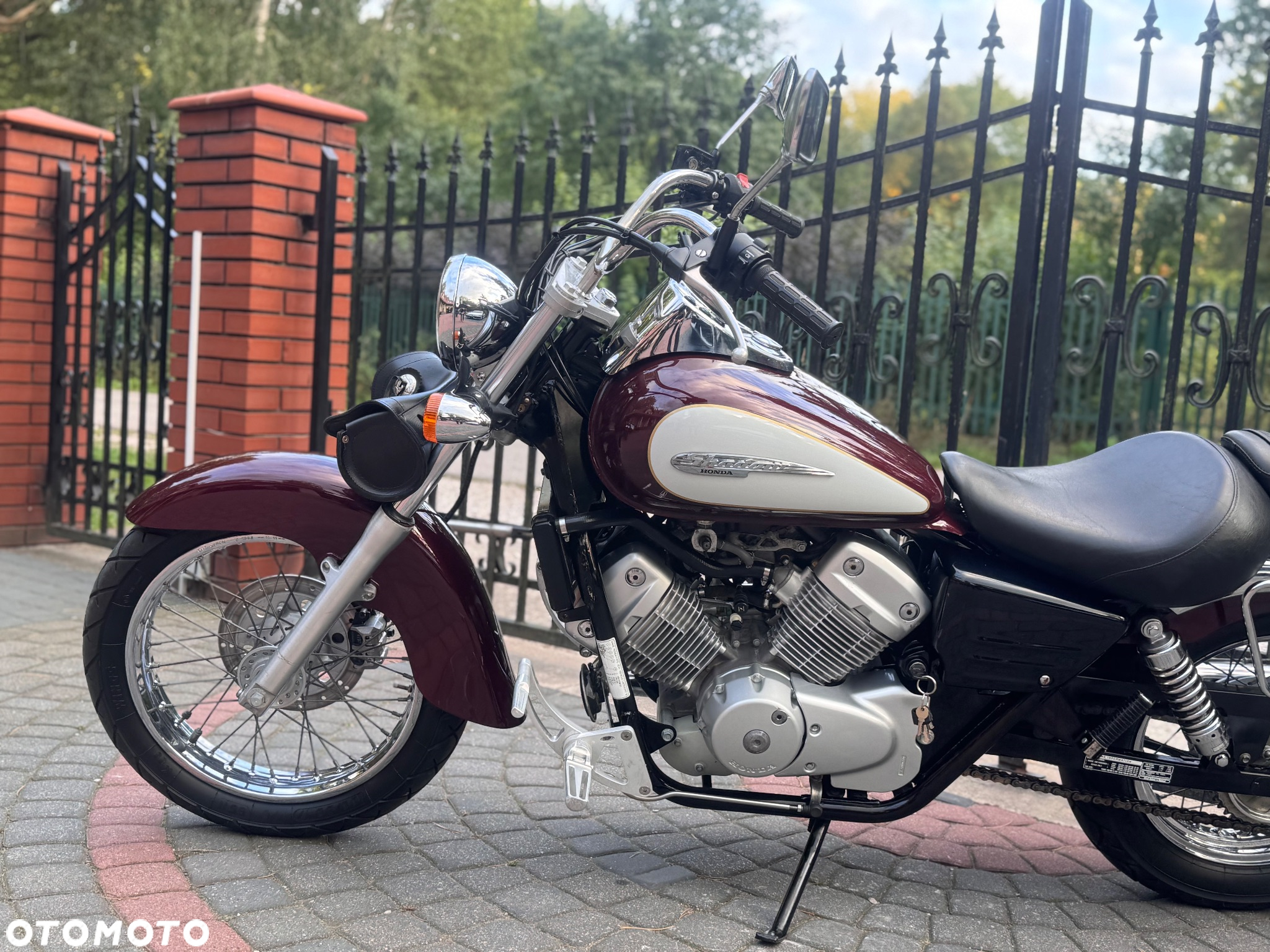 Honda VT - 19