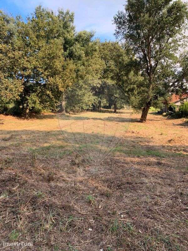 Terreno  para venda - Grande imagem: 4/6