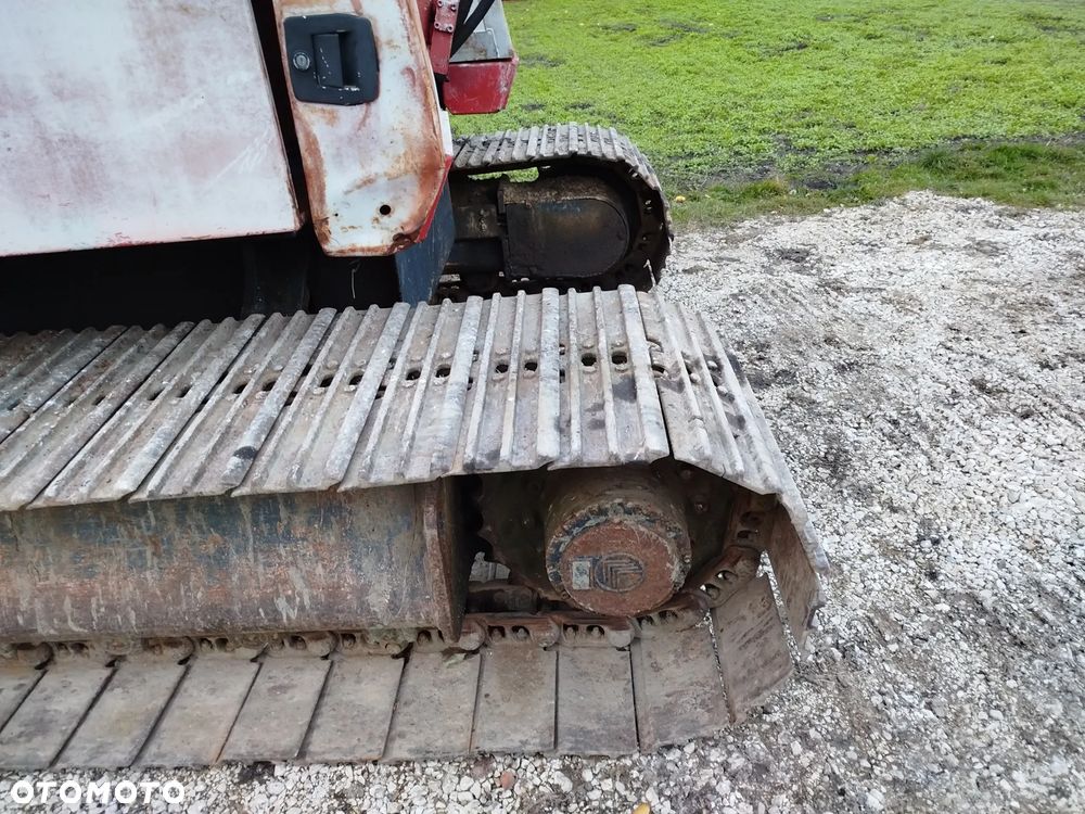 Case 61 błotniak - 5