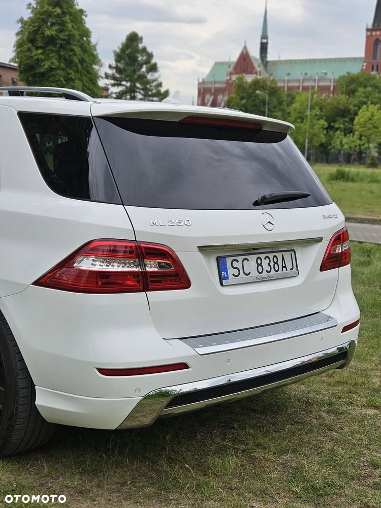 Mercedes-Benz ML 250 BlueTEC 4-Matic - 8