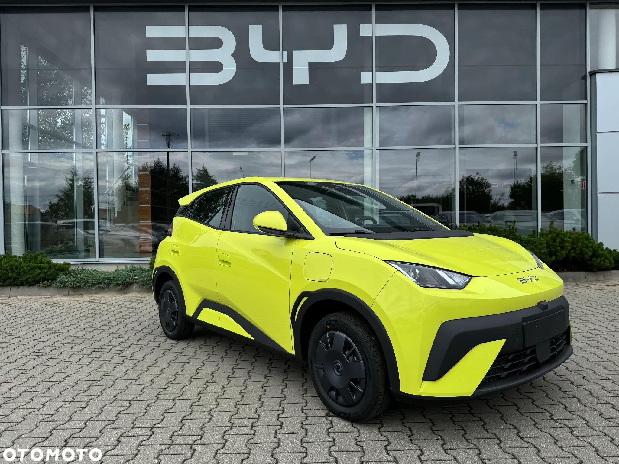 BYD Dolphin Surf - 7