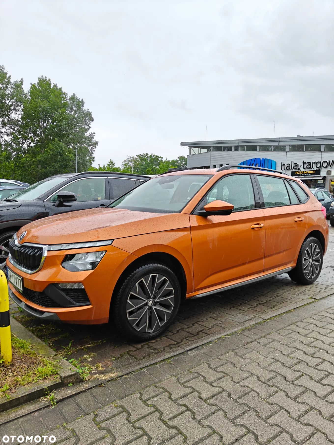 Skoda Kamiq 1.5 TSI Selection DSG - 1