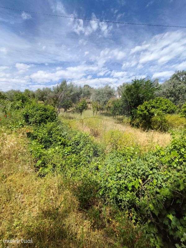 Quinta T2 para venda - Grande imagem: 2/21