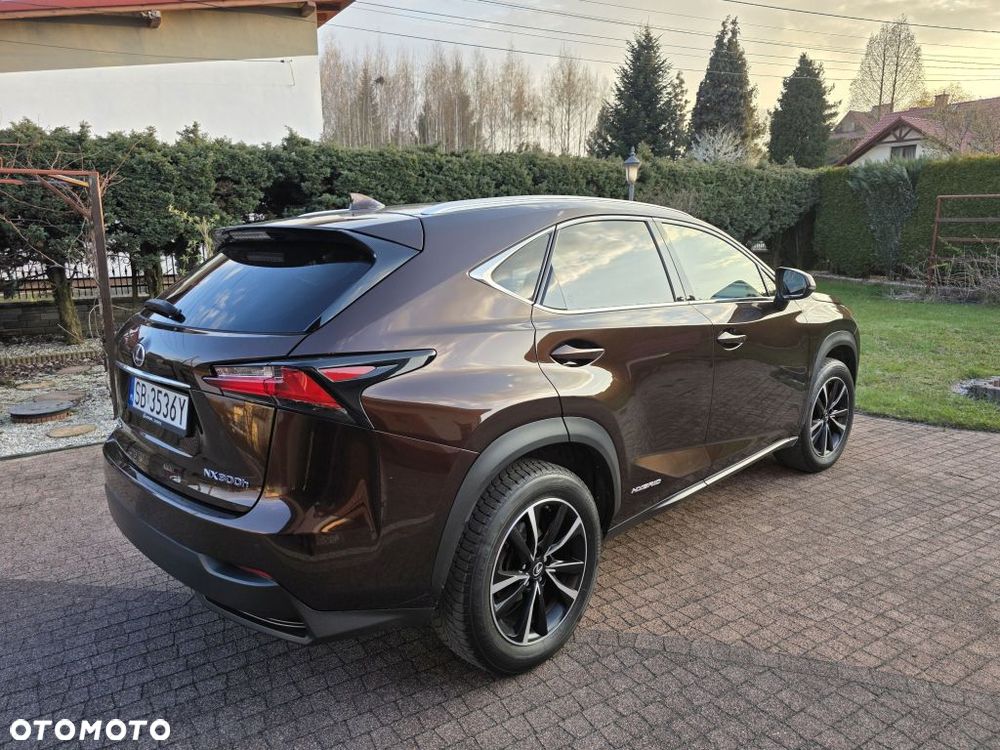 Lexus NX 300h Comfort AWD - 5