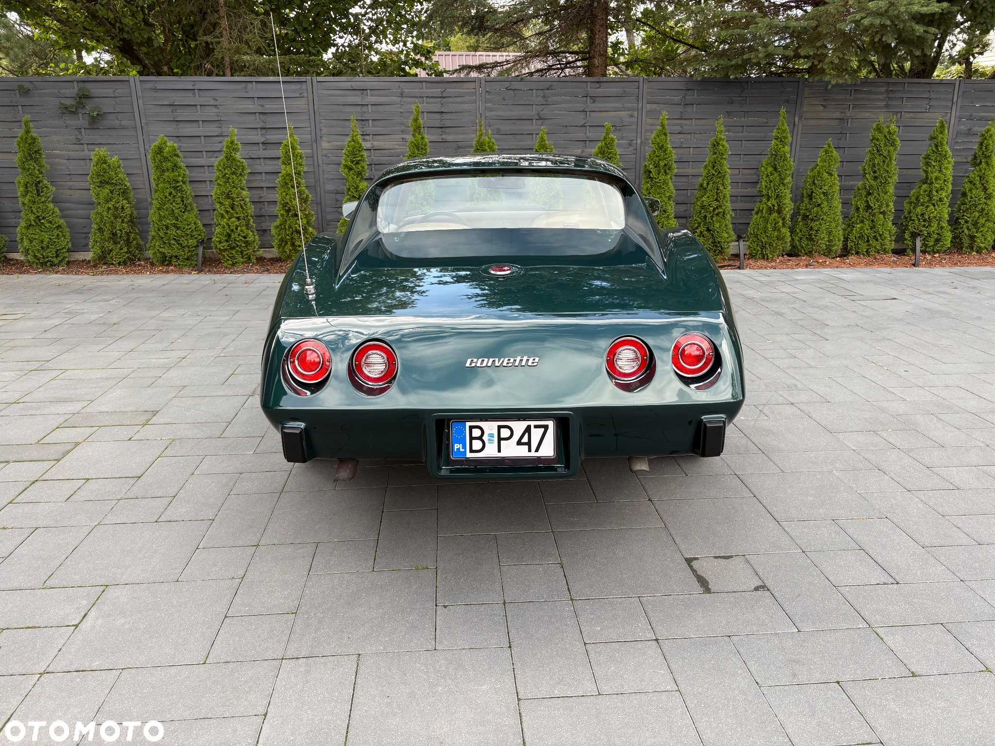 Chevrolet Corvette - 3