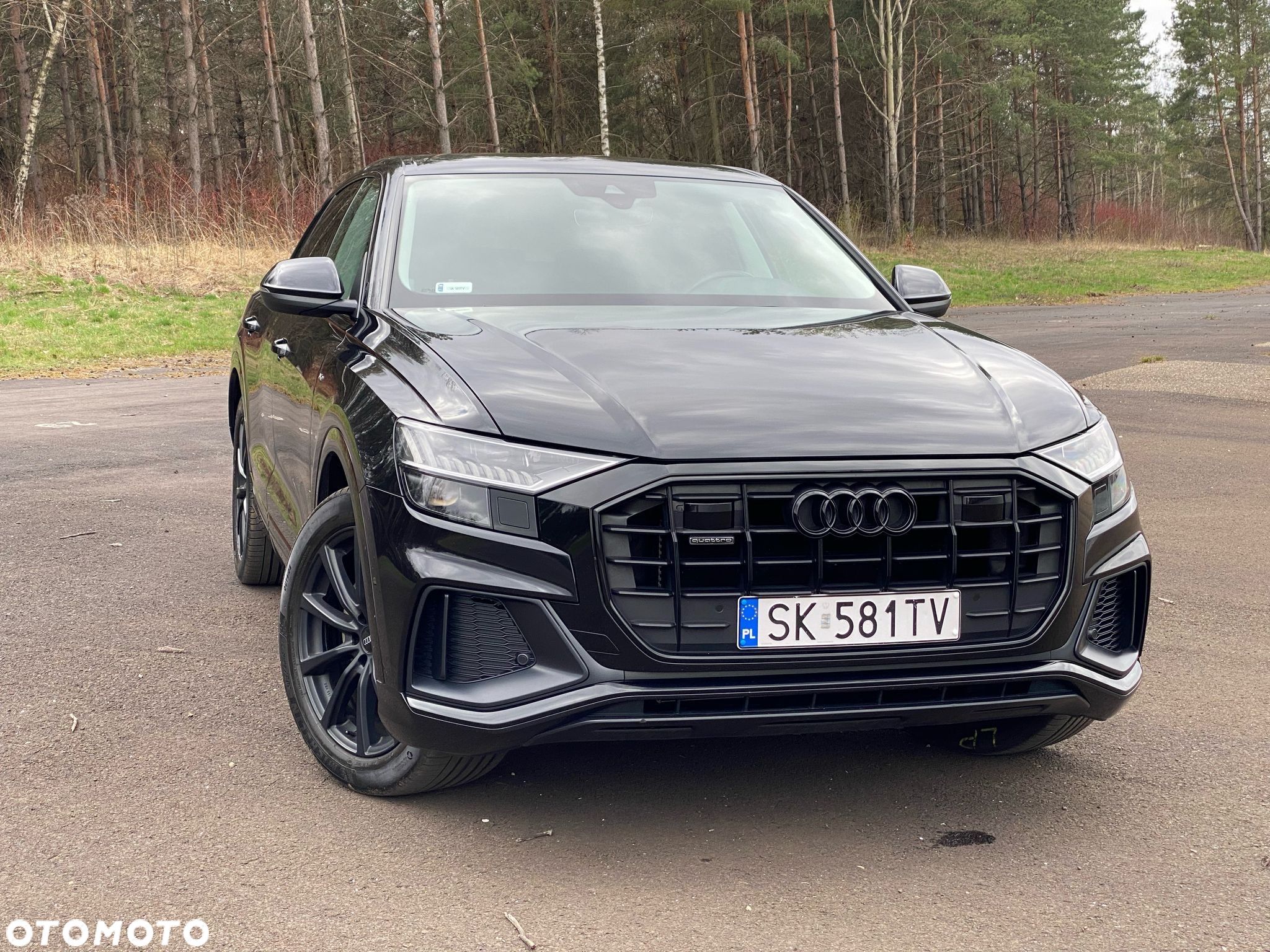 Audi Q8 - 1