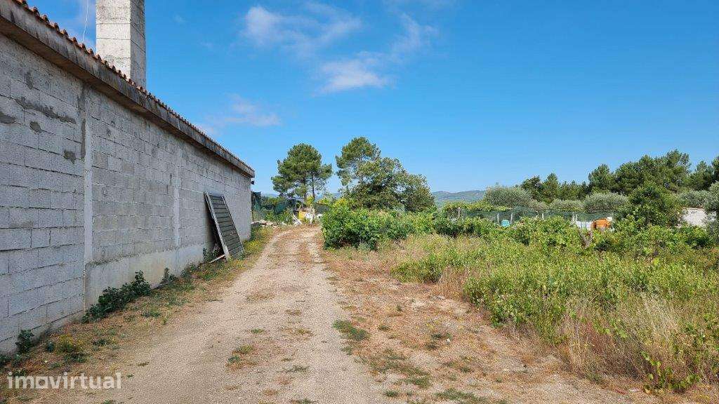 Terreno em Chaves, Oura - Grande imagem: 4/12