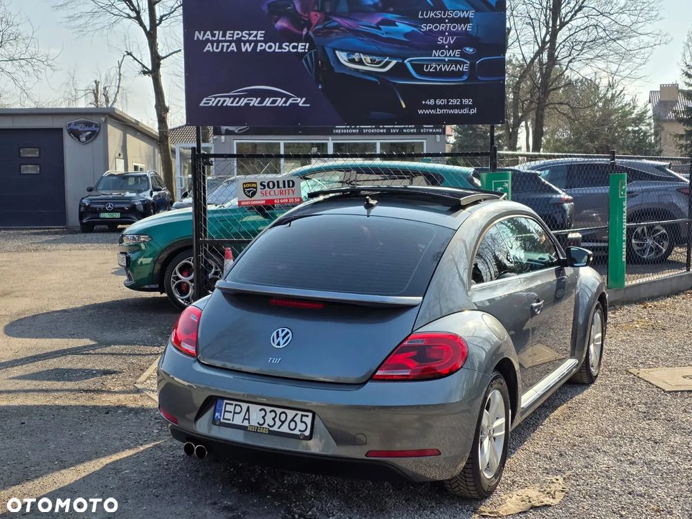 Volkswagen Beetle - 10