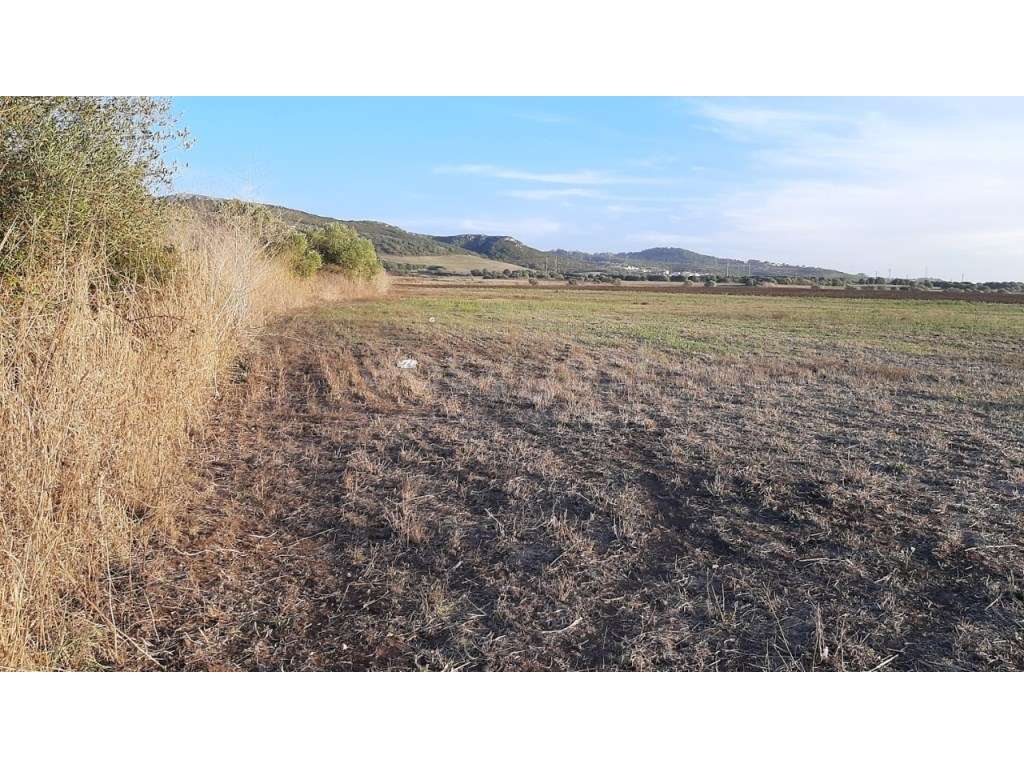 Terreno de Cultura Arvense de Nat Rustica em Almargem do Bispo - Grande imagem: 3/15